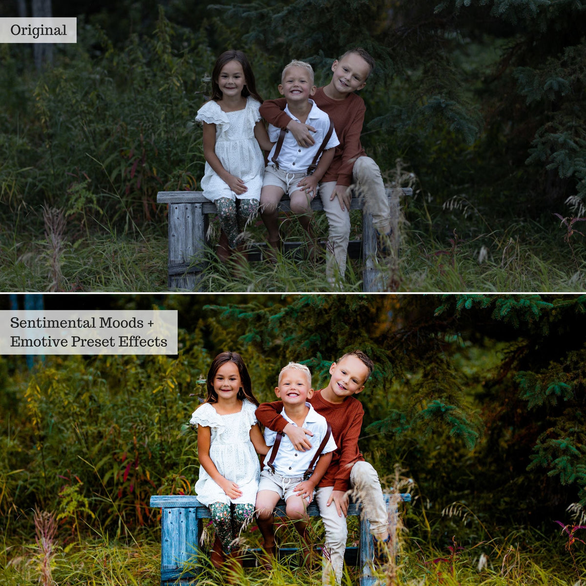 Emotive Lightroom Presets & AI Powered Tools – Desktop & Mobile