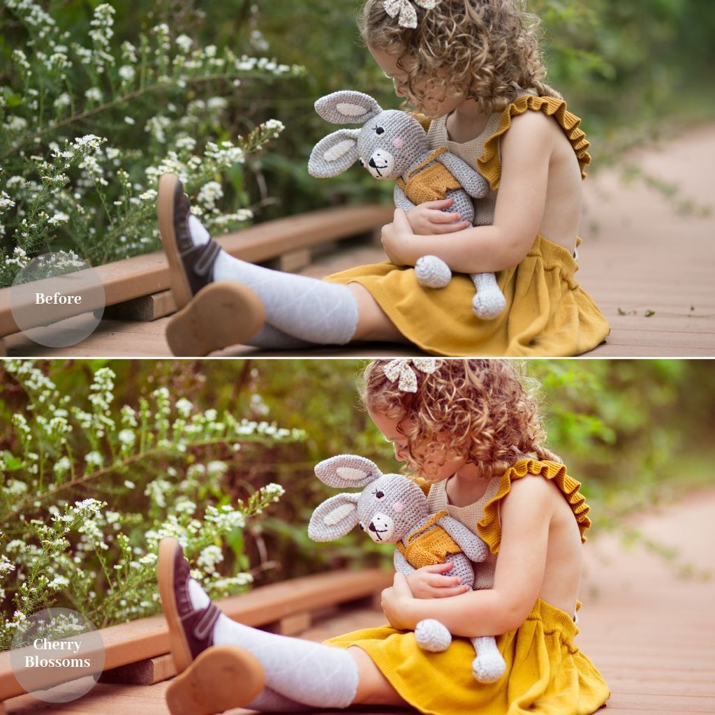 2025 Everything, Entire Store Lightroom Preset Bundle (108 Collections!)