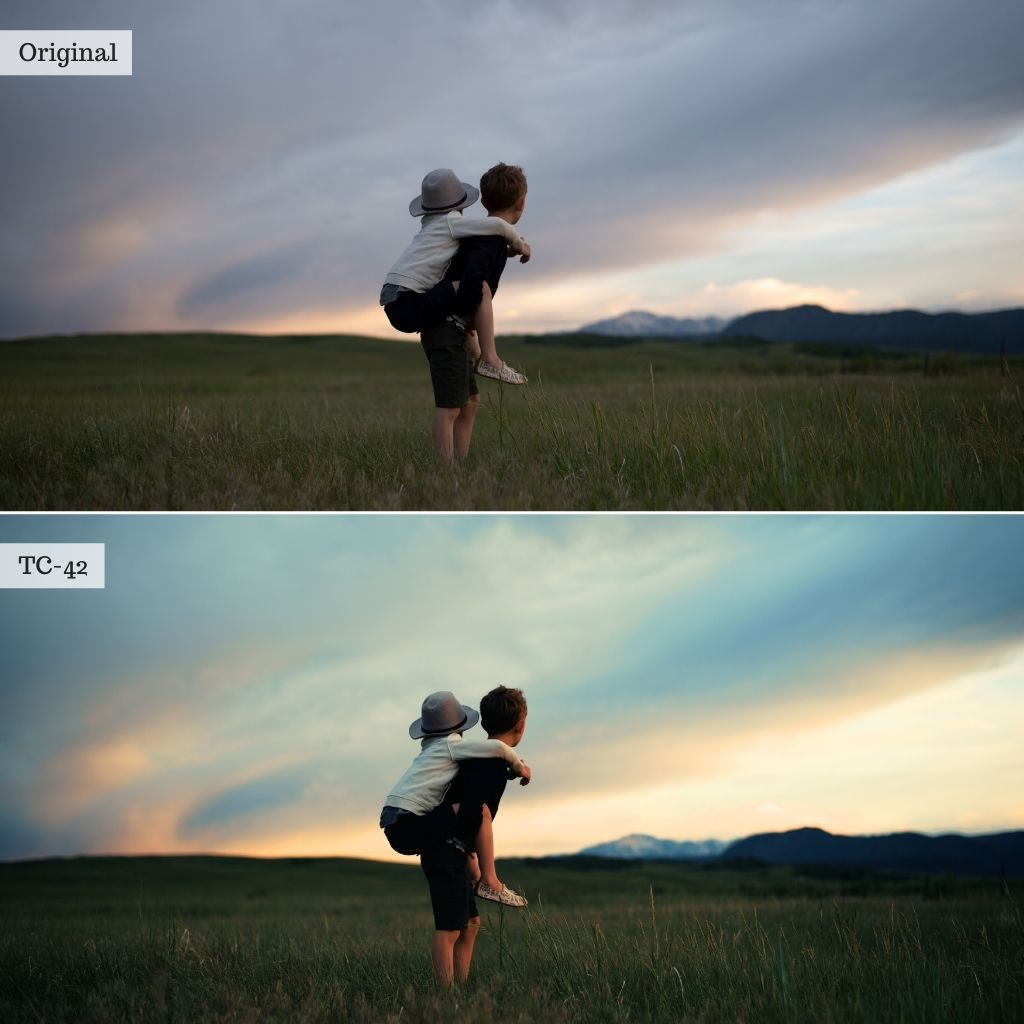 Luxe LUTs Bundle (8 Collections) – Desktop & Mobile