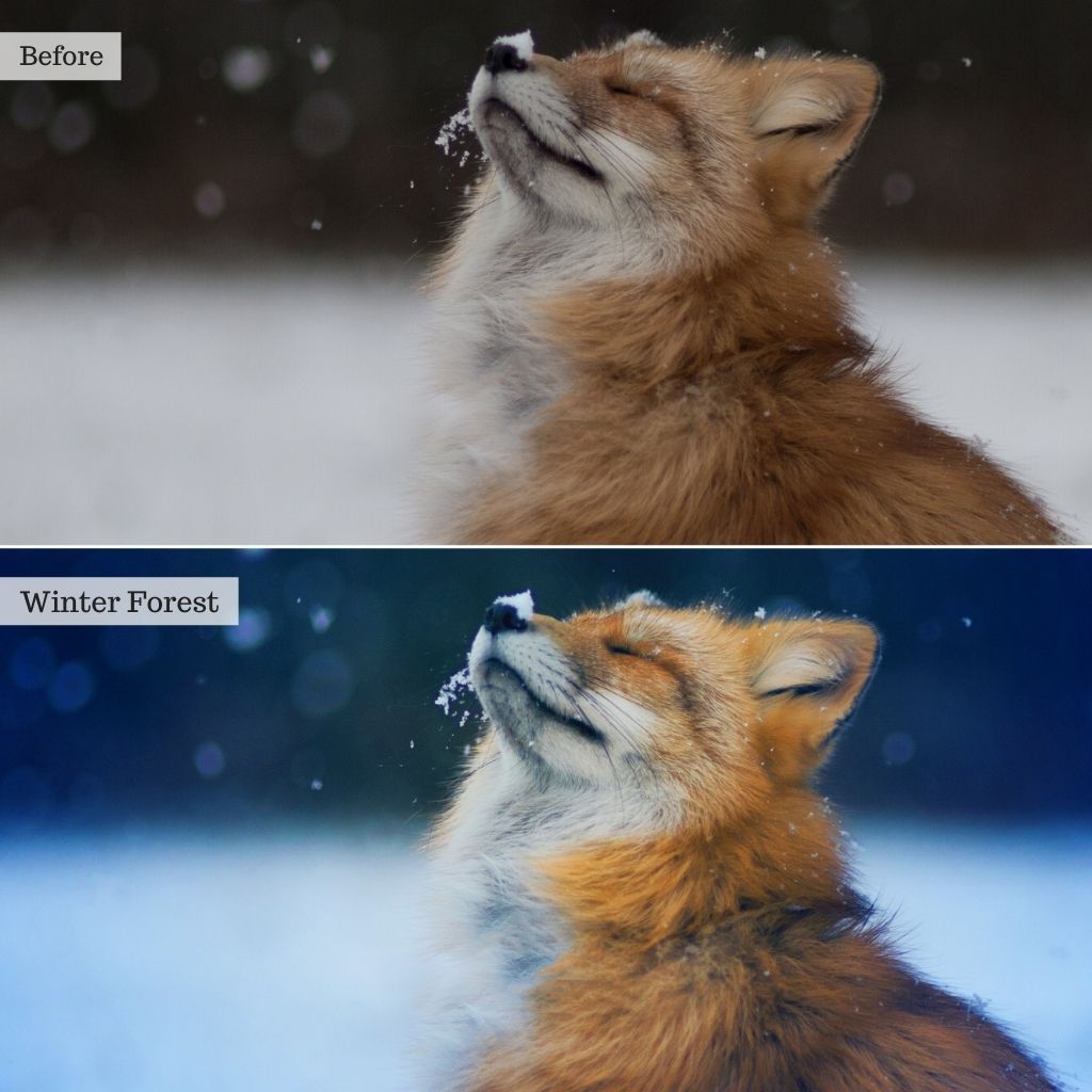 Luxe Essentials Photopea Actions & Editing Tools