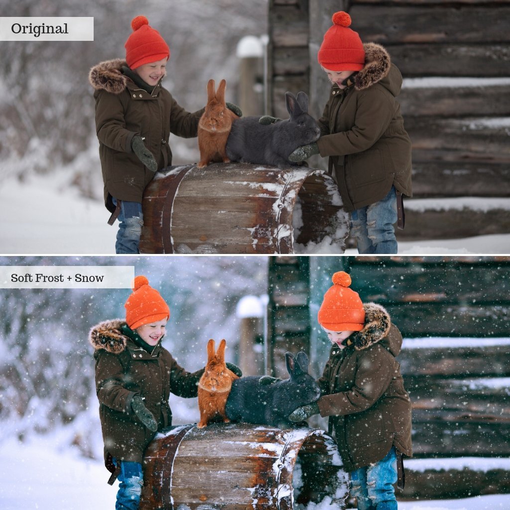 Everything Actions Bundle for Photoshop or Elements