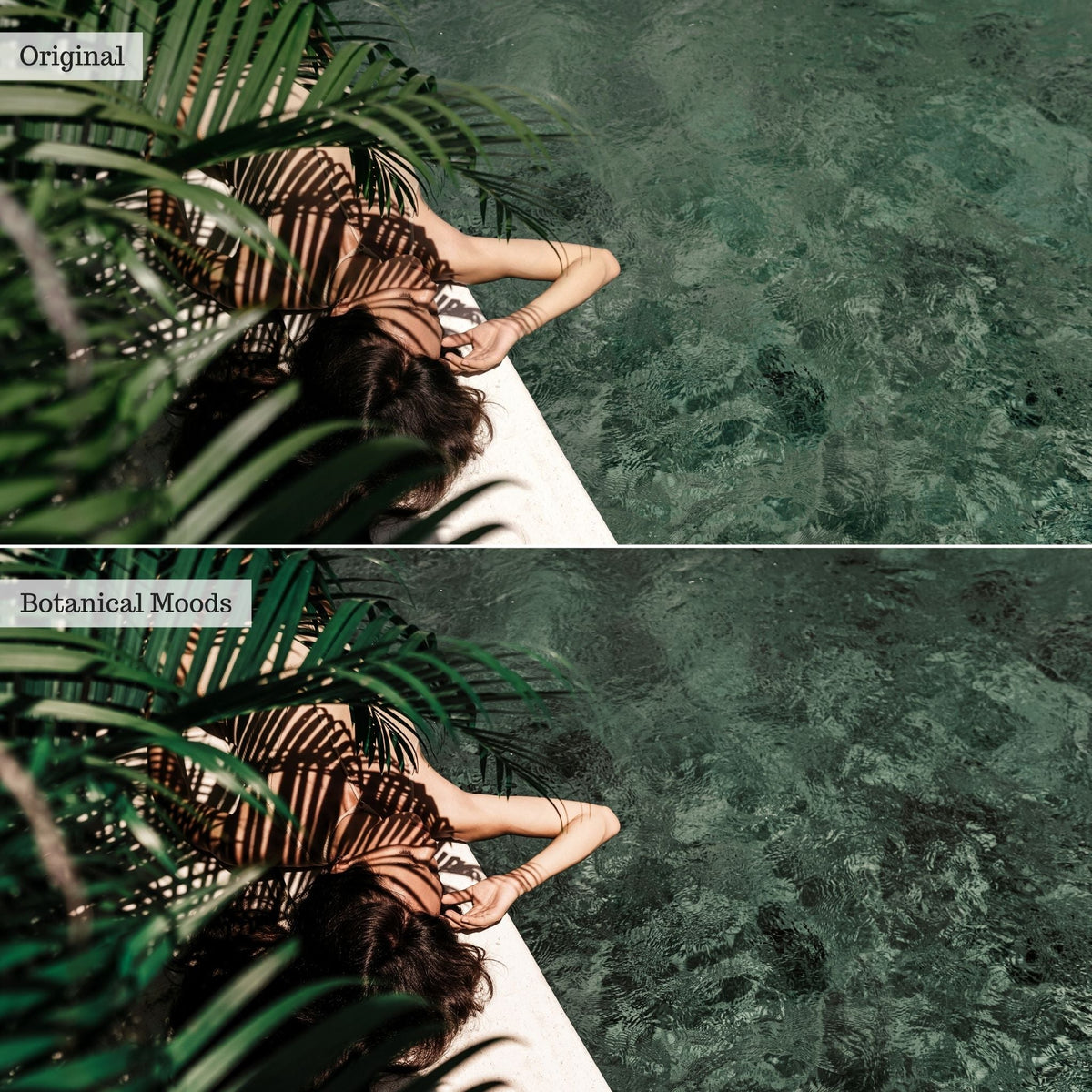 Botanical Moods Instagram Presets for Lightroom Mobile & Desktop