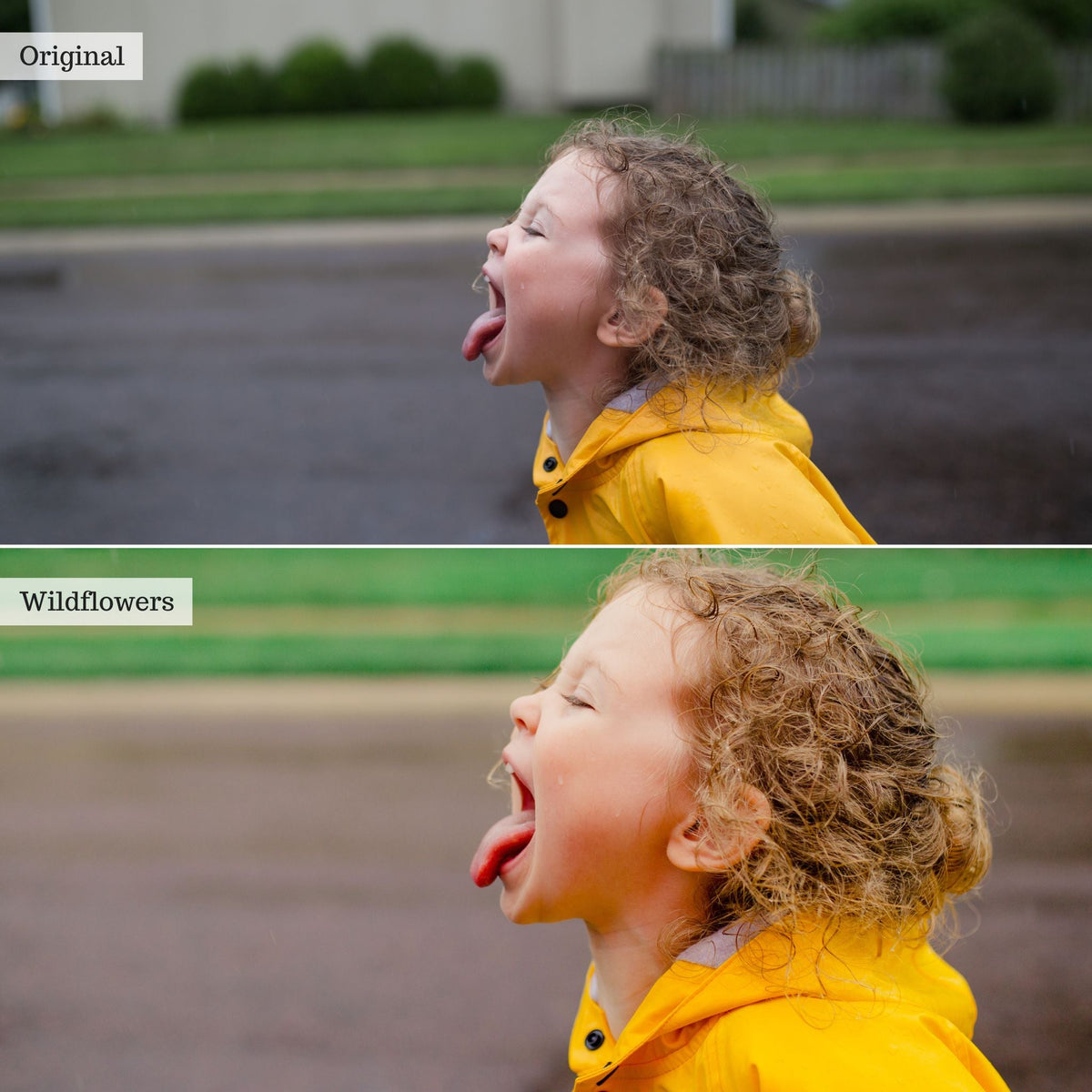 Clover n' Honey Spring & Summer Lightroom Presets – Desktop & Mobile