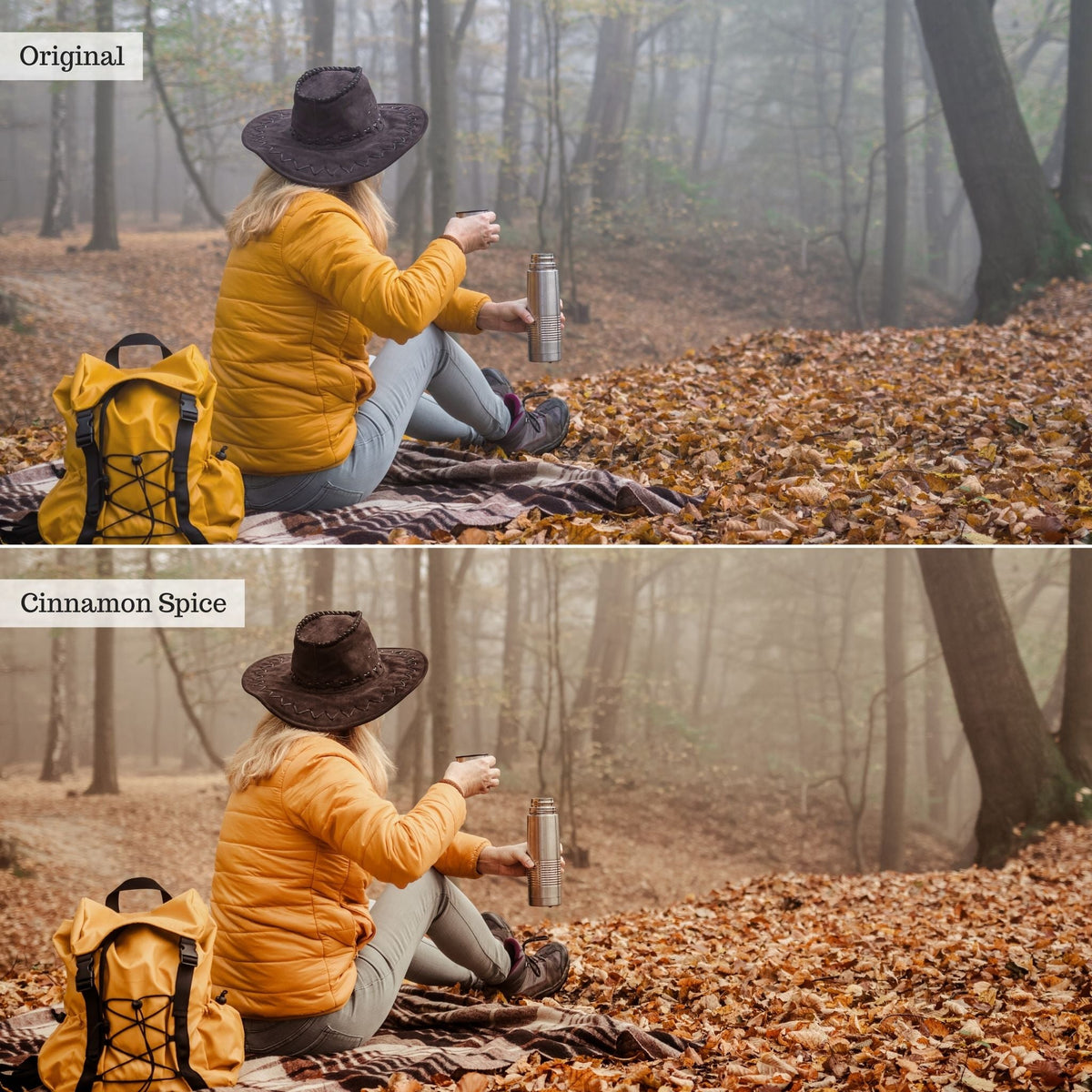 Cinnamon Spice Instagram Presets for Lightroom Mobile & Desktop