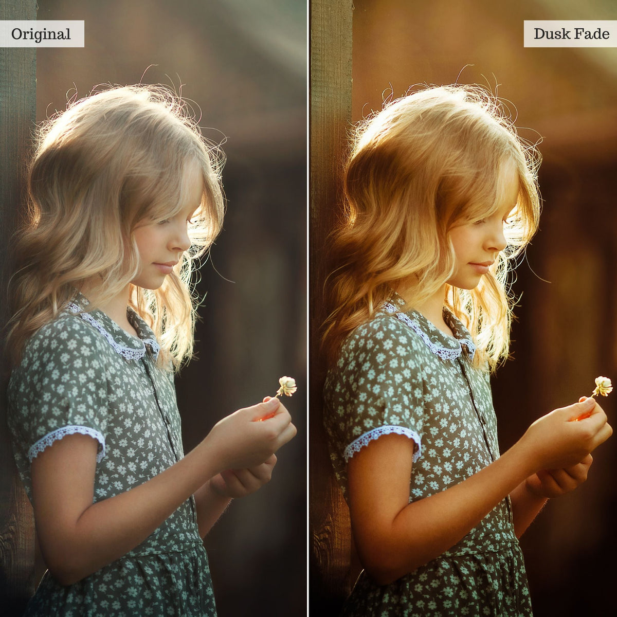 Luxe Golden Hour Lightroom Presets – Desktop & Mobile