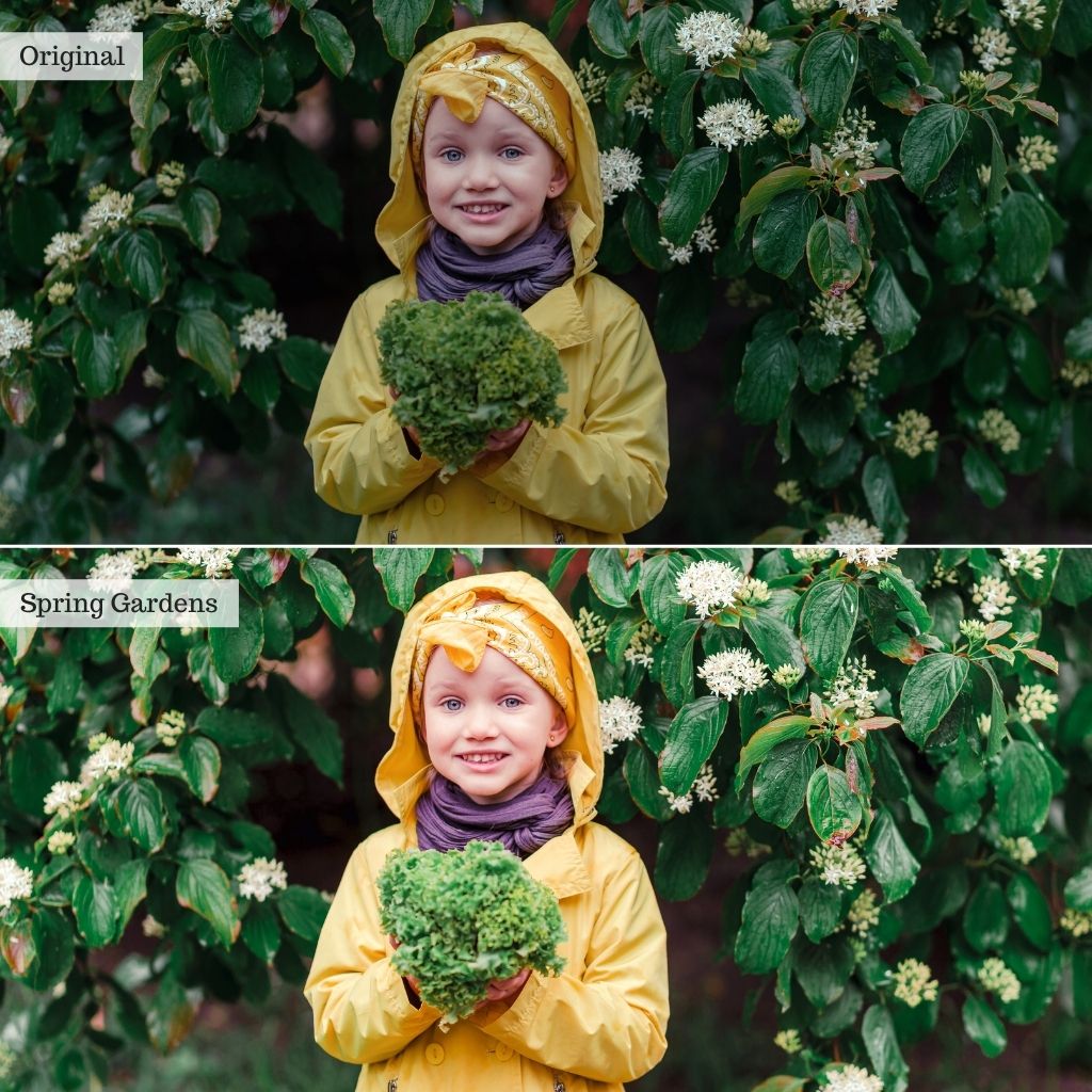 Spring Gardens Instagram Presets for Lightroom Mobile & Desktop