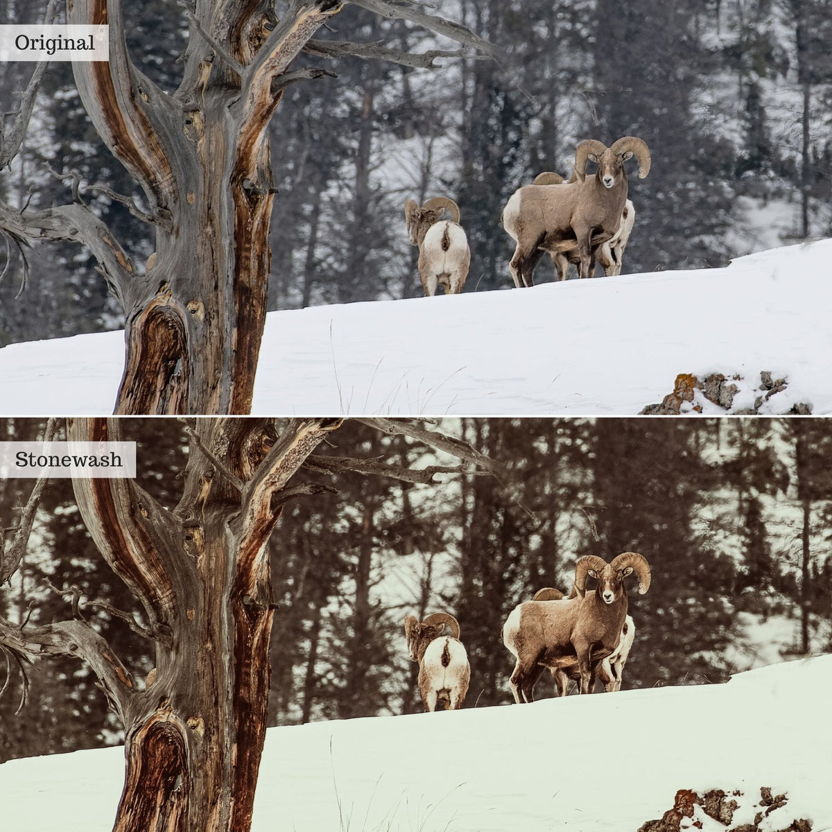 Stonewash Instagram Presets for Lightroom Mobile & Desktop