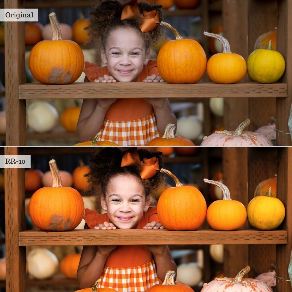 Luxe LUTs Bundle (8 Collections) – Desktop & Mobile