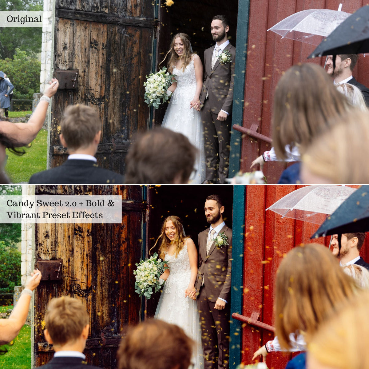 Bold & Vibrant 2.0 Lightroom Presets & AI Powered Tools – Desktop & Mobile