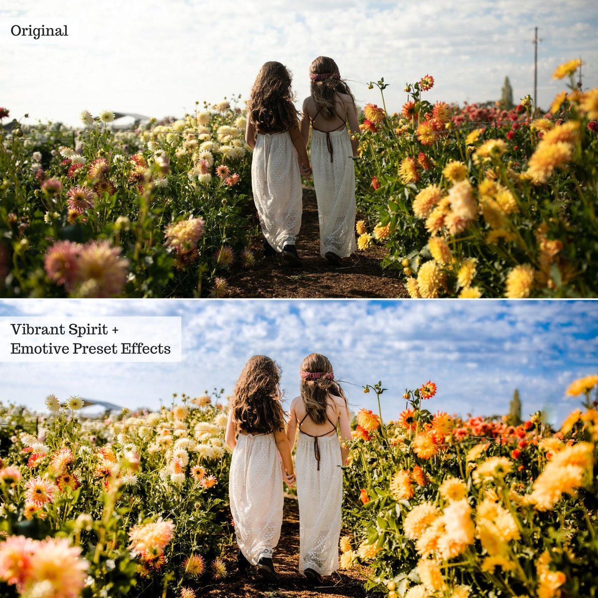 Emotive Lightroom Presets & AI Powered Tools – Desktop & Mobile