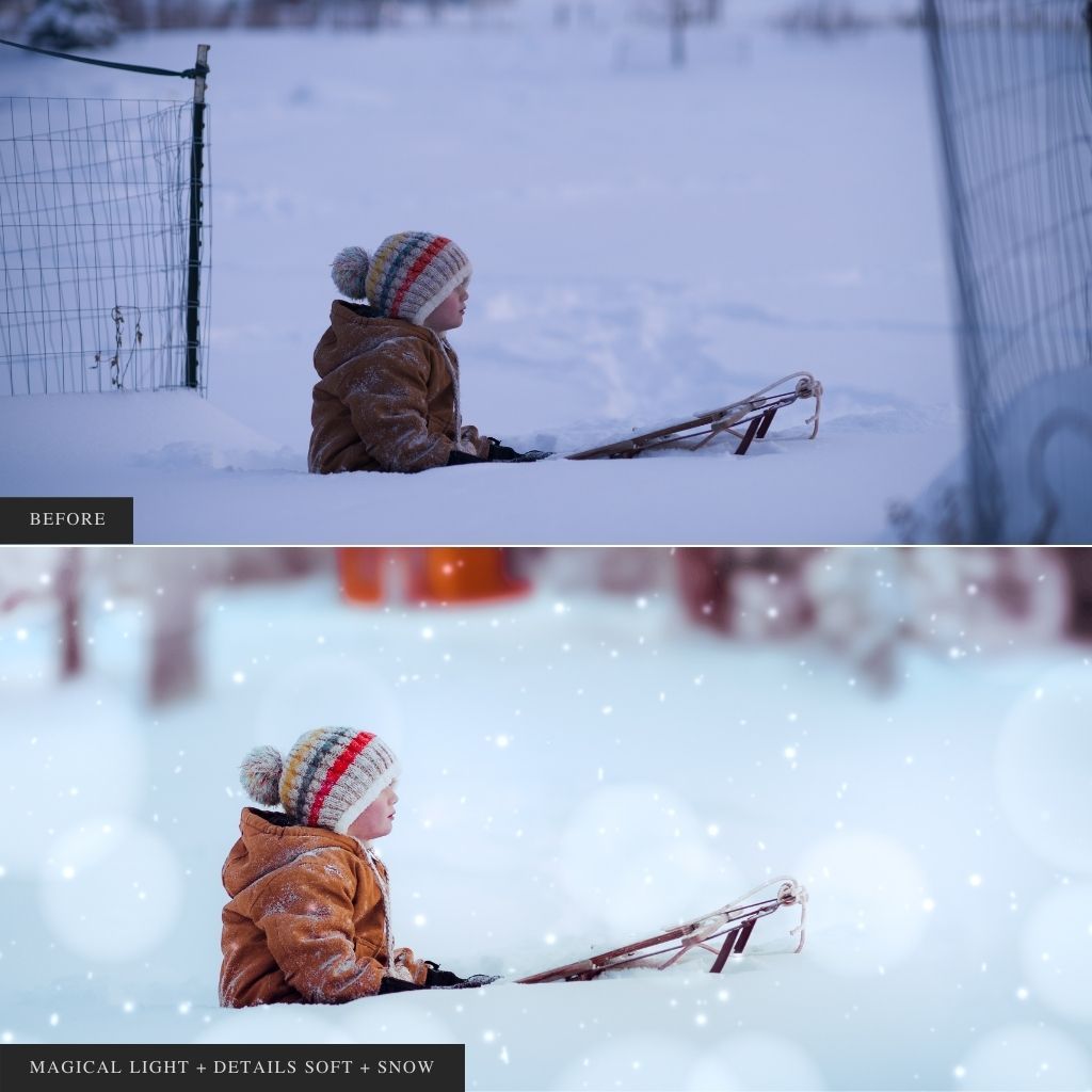 ColorMade Lightroom Preset Bundle (19 collections)