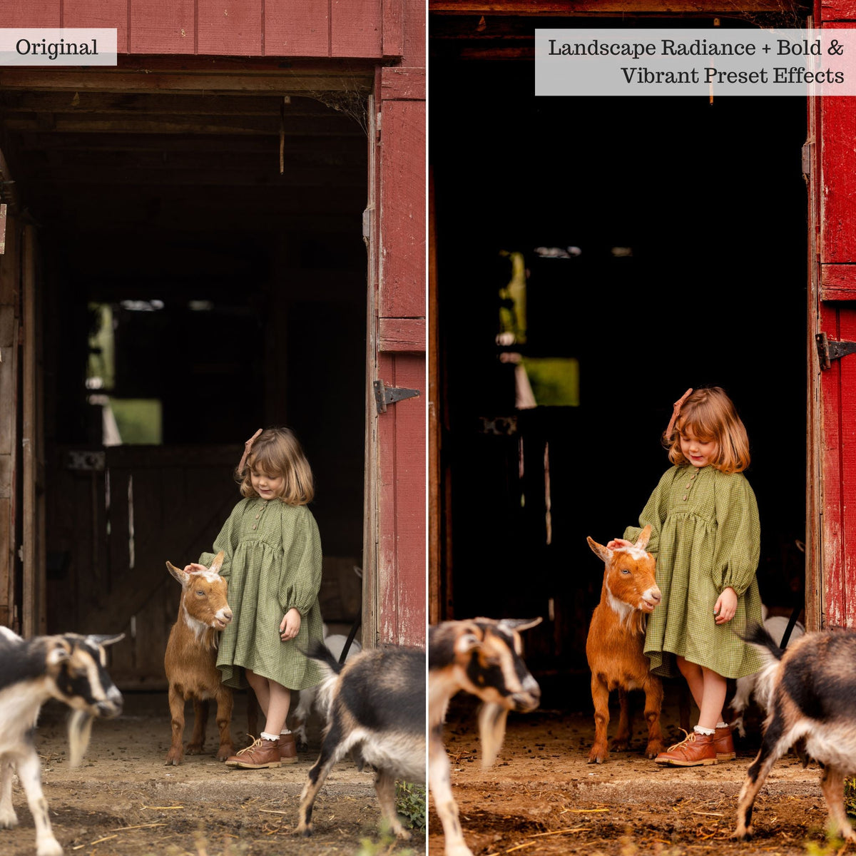 Bold & Vibrant 2.0 Lightroom Presets & AI Powered Tools – Desktop & Mobile