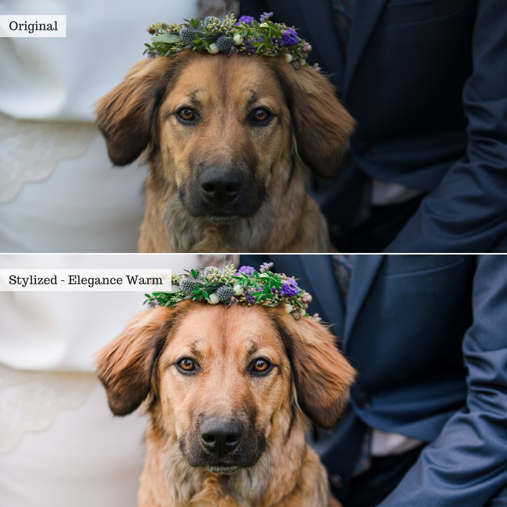 Luxe Weddings Lightroom Presets & AI Tools v2.0 – Desktop & Mobile