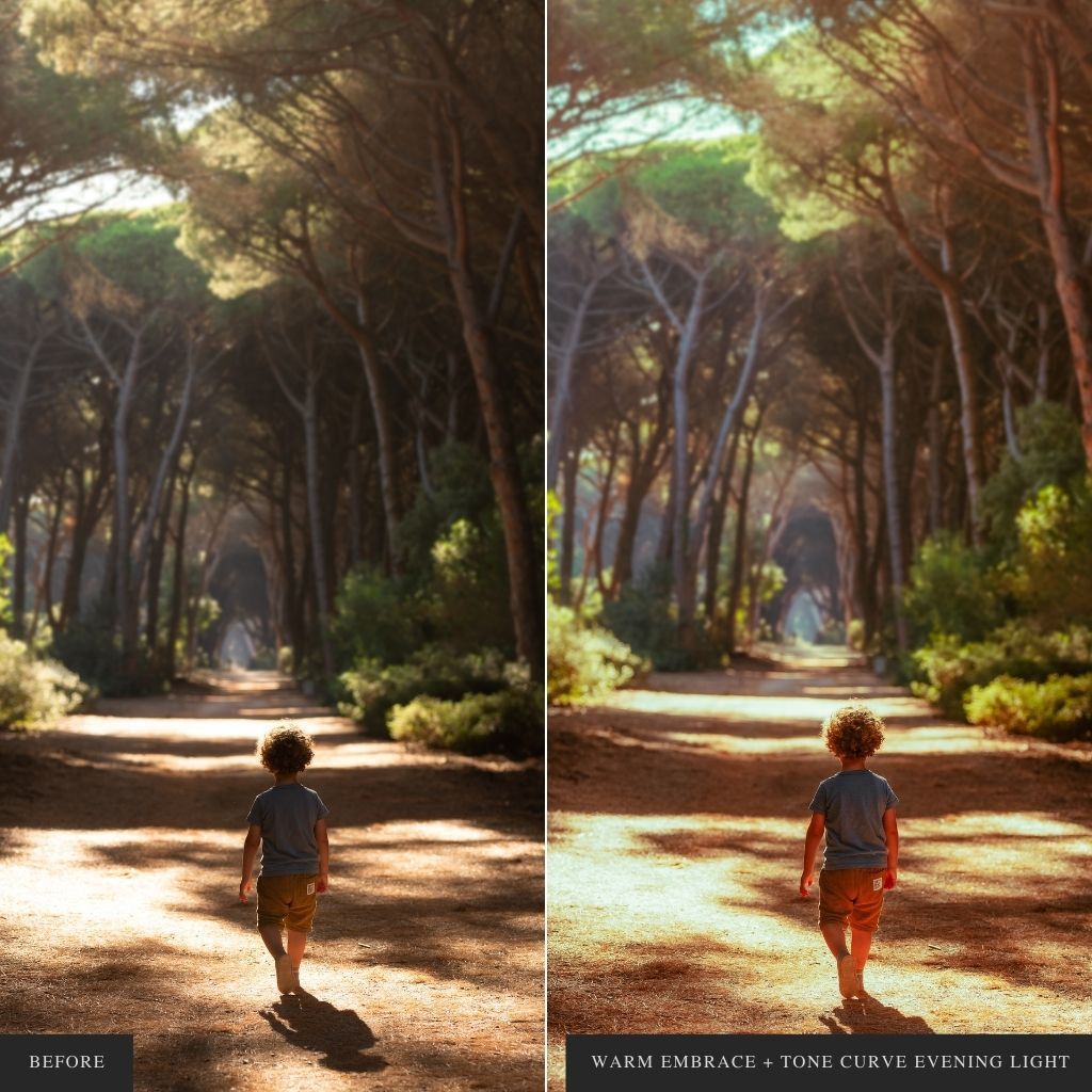 ColorMade Lightroom Preset Bundle (19 collections)