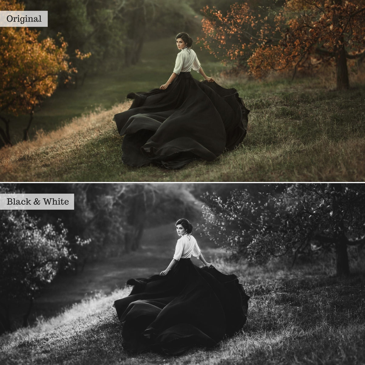 Black & White Instagram Presets for Lightroom Mobile & Desktop