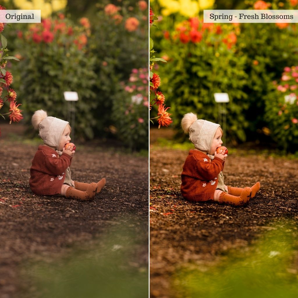 Essentials Lightroom Presets & AI Tools v2.0 – Desktop & Mobile