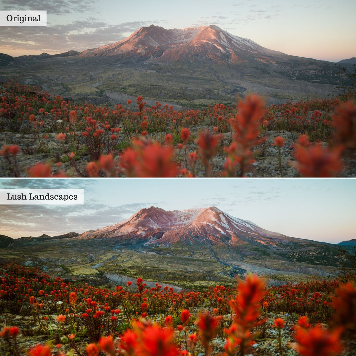 Lush Landscapes Instagram Presets for Lightroom Mobile & Desktop