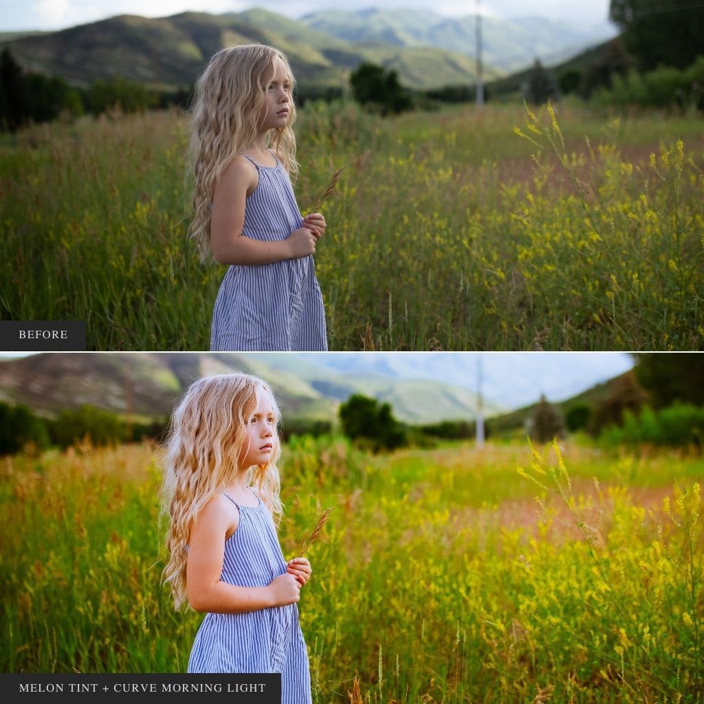 ColorMade Lightroom Preset Bundle (19 collections)