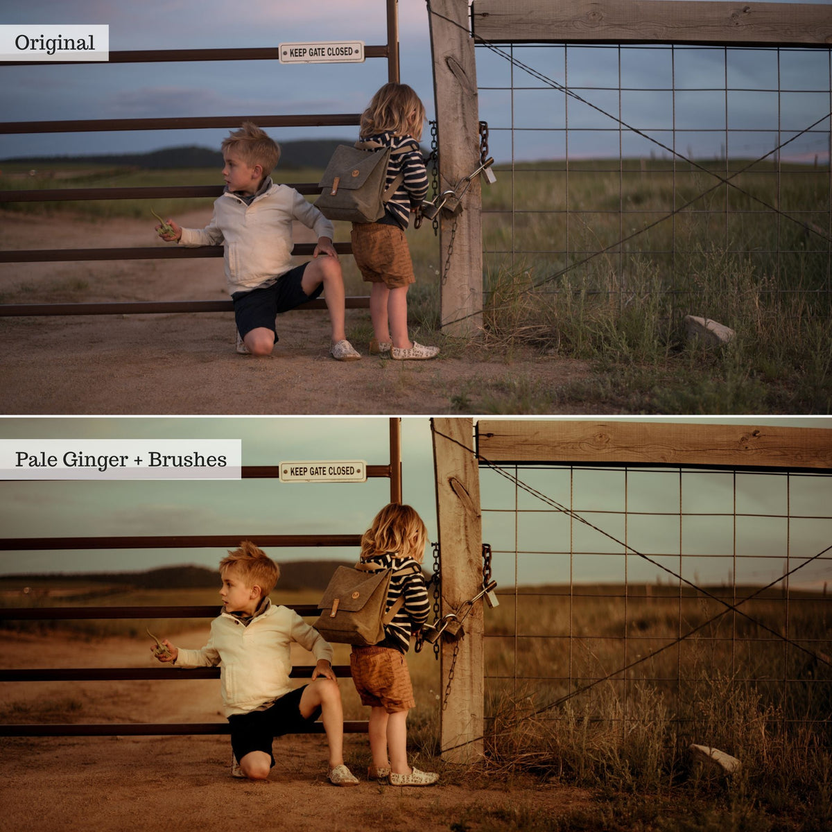 Luxe Golden Hour Lightroom Presets – Desktop & Mobile