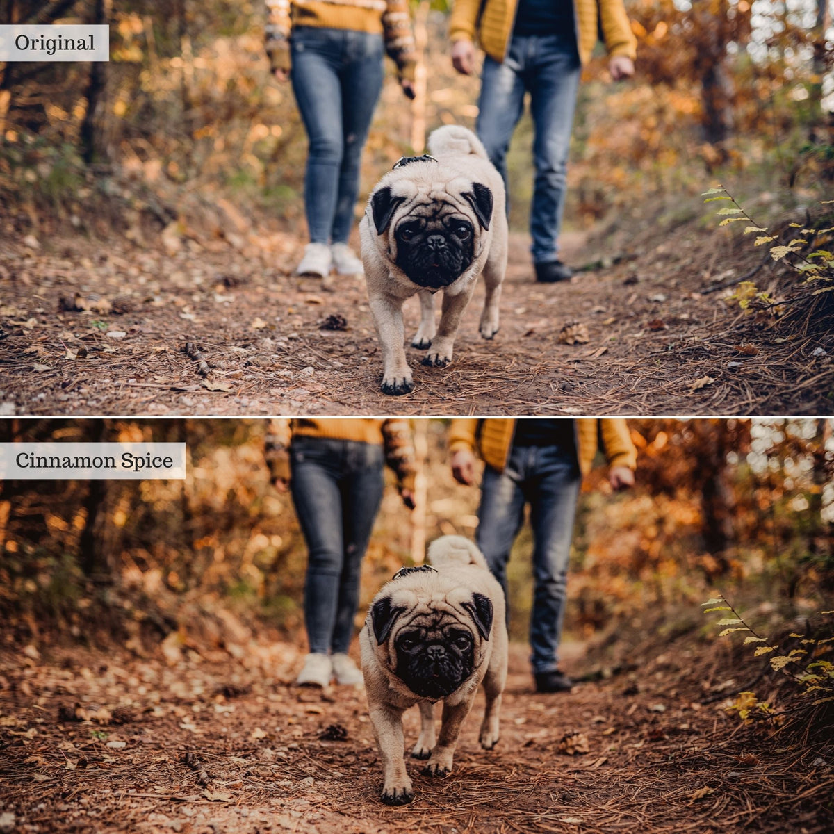 Cinnamon Spice Instagram Presets for Lightroom Mobile & Desktop