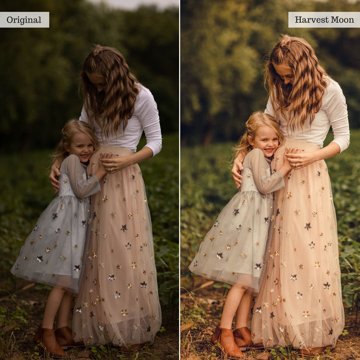 Luxe Touch of Tweed Autumn Lightroom Presets & AI Tools v2.0 – Desktop & Mobile
