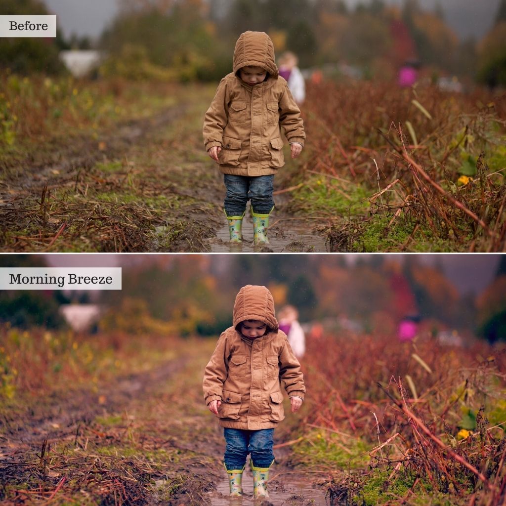 Luxe Essentials Photopea Actions & Editing Tools