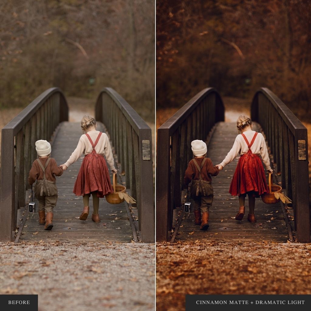 ColorMade Lightroom Preset Bundle (19 collections)