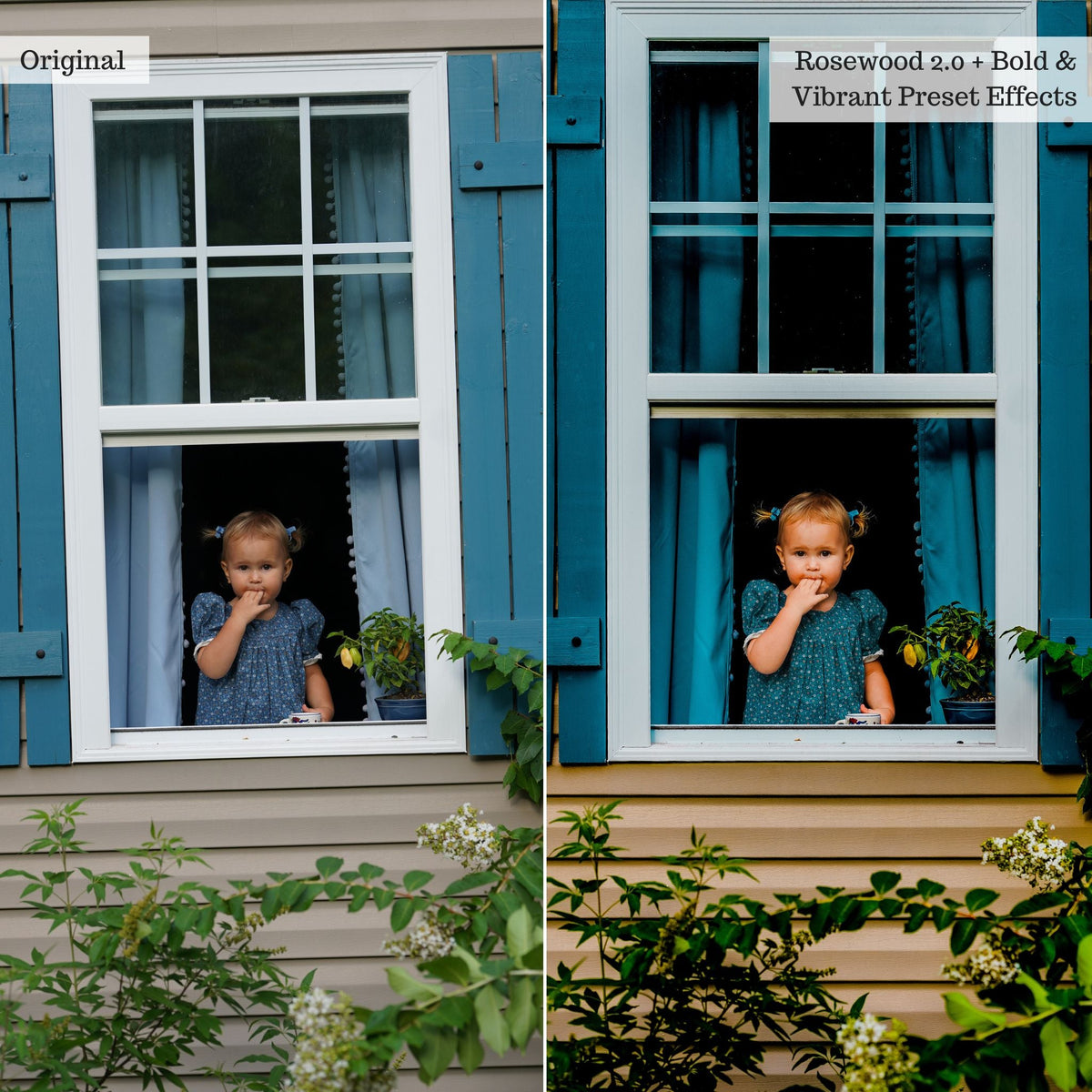 Bold & Vibrant 2.0 Lightroom Presets & AI Powered Tools – Desktop & Mobile