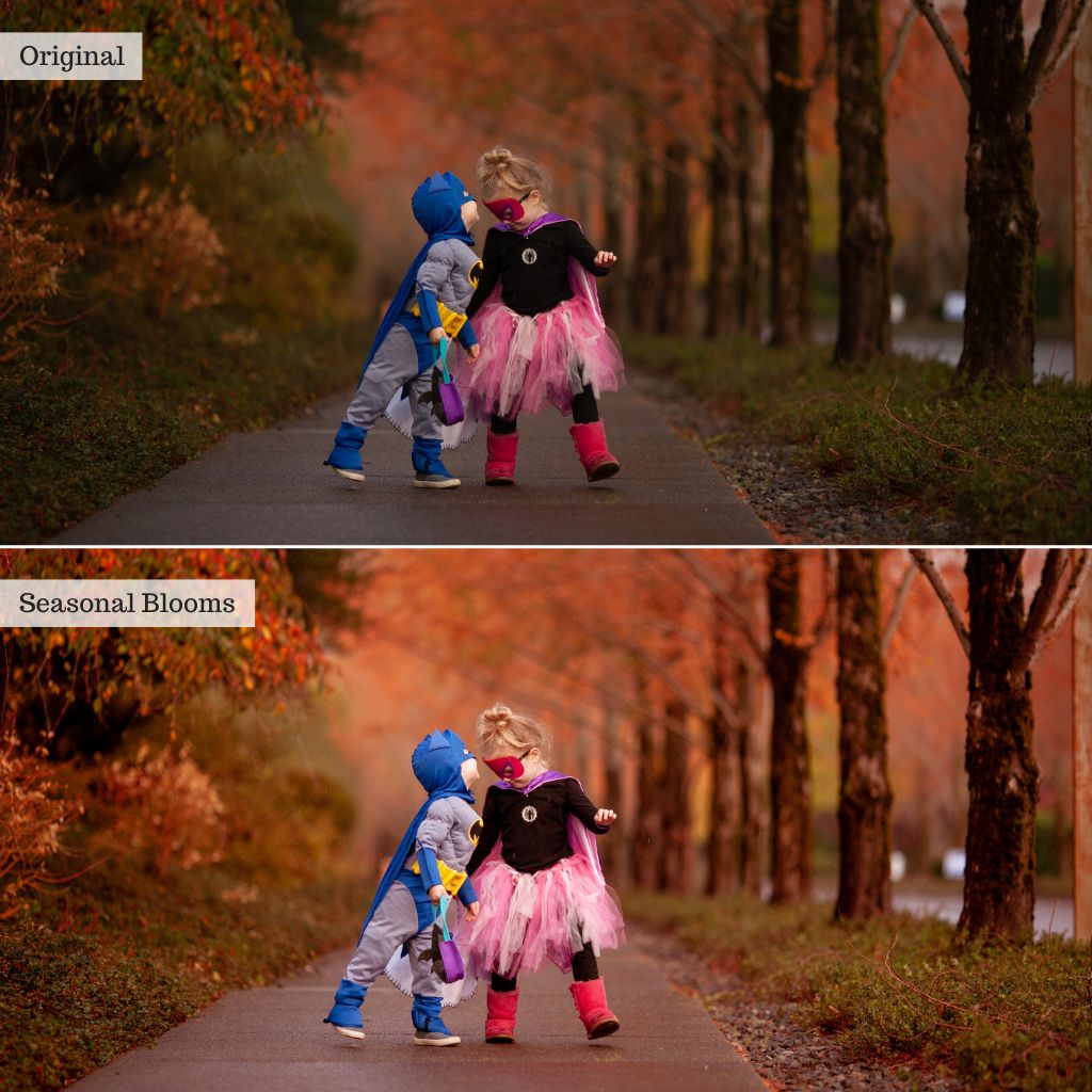 Luxe Video Essentials for LR CC – Desktop & Mobile