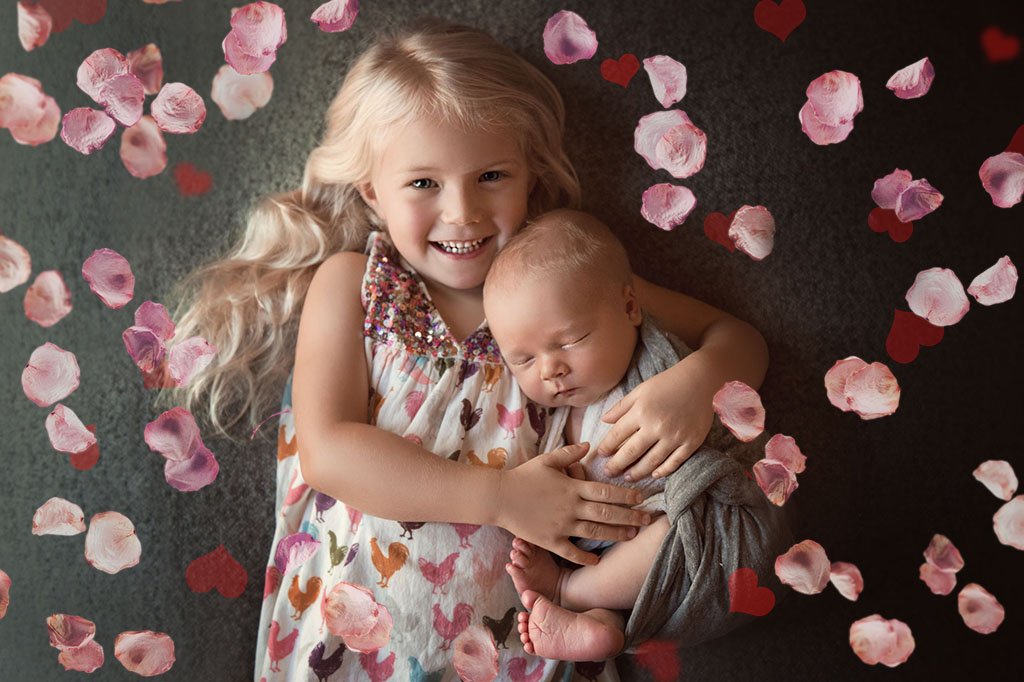 Falling Rose Petals Overlays – Photoshop & More