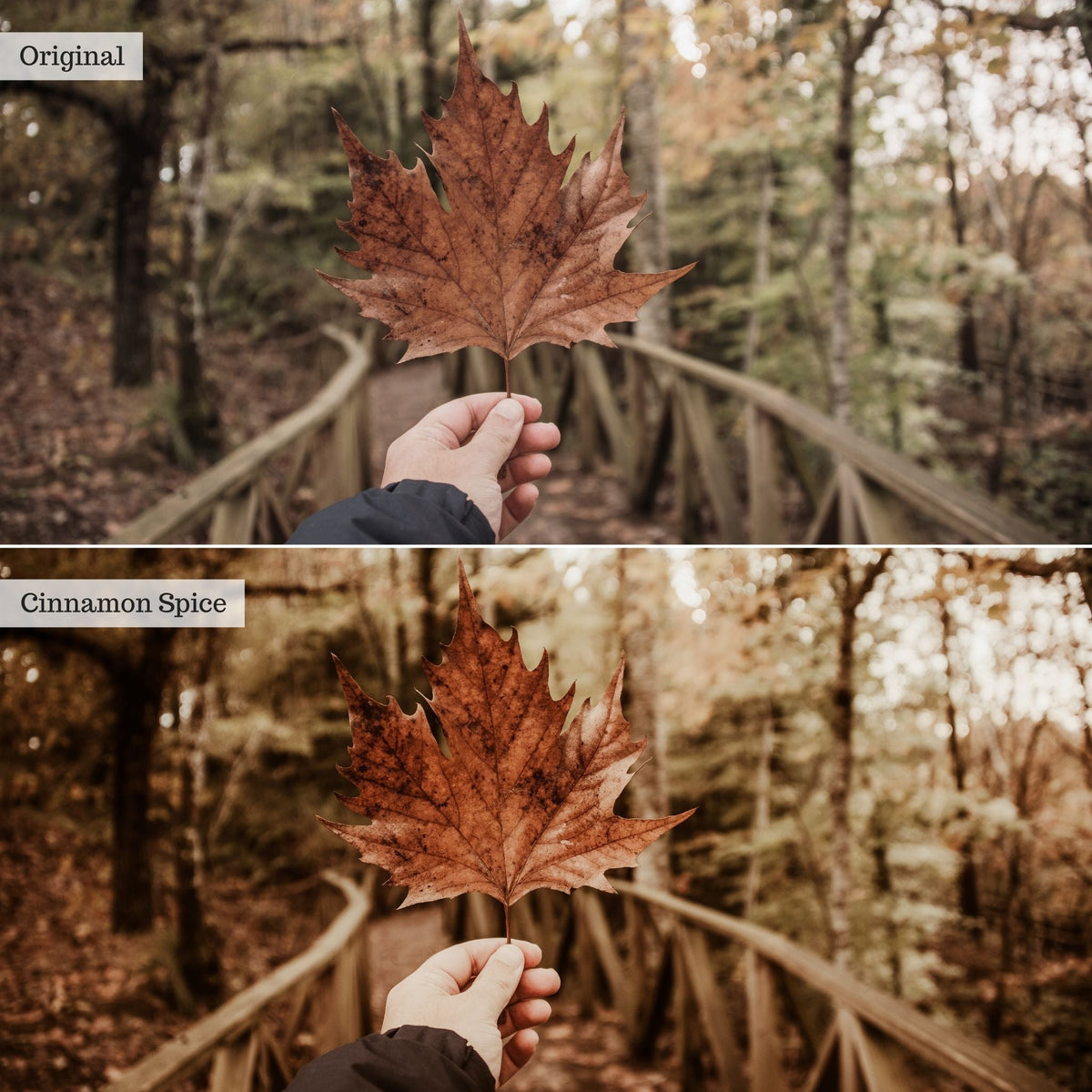 Cinnamon Spice Instagram Presets for Lightroom Mobile &amp; Desktop