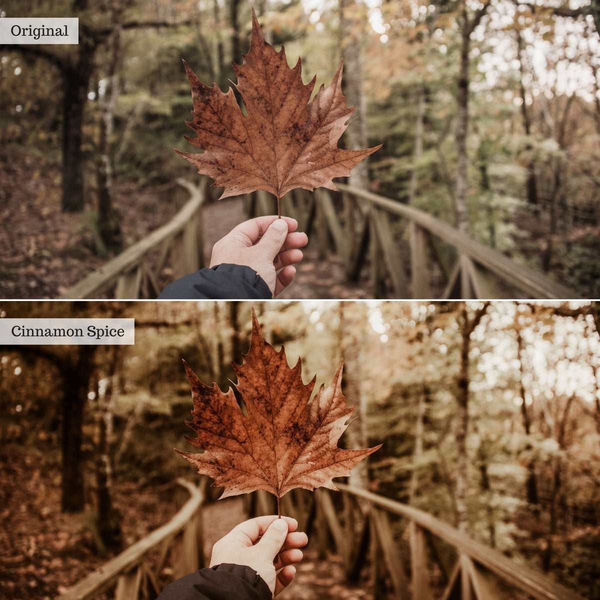 Cinnamon Spice Instagram Presets for Lightroom Mobile & Desktop
