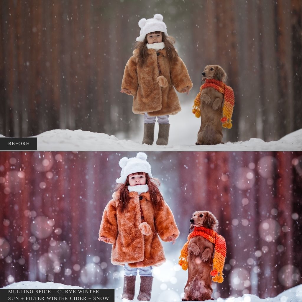 ColorMade Lightroom Preset Bundle (19 collections)