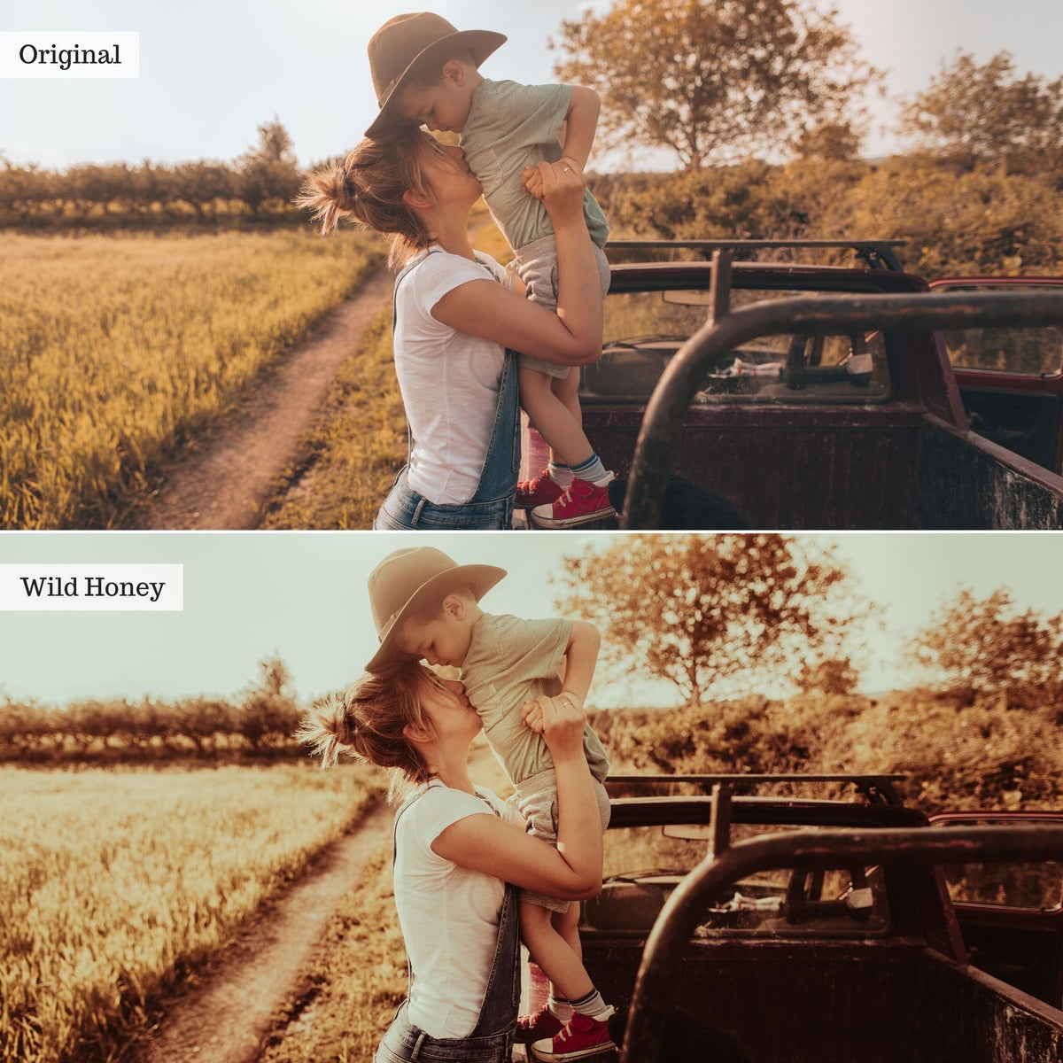 Wild Honey Instagram Presets for Lightroom Mobile & Desktop