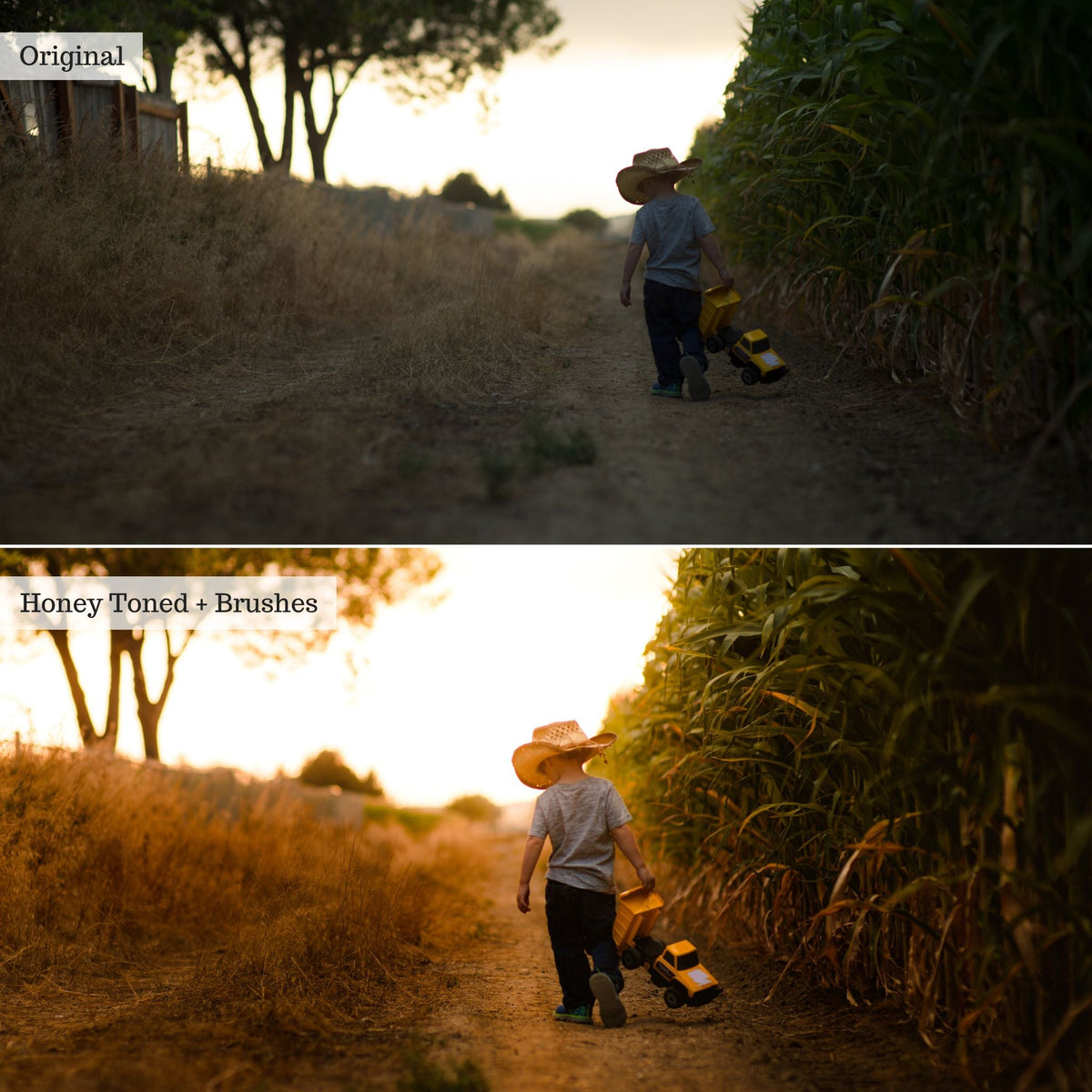 Luxe Golden Hour Lightroom Presets – Desktop & Mobile