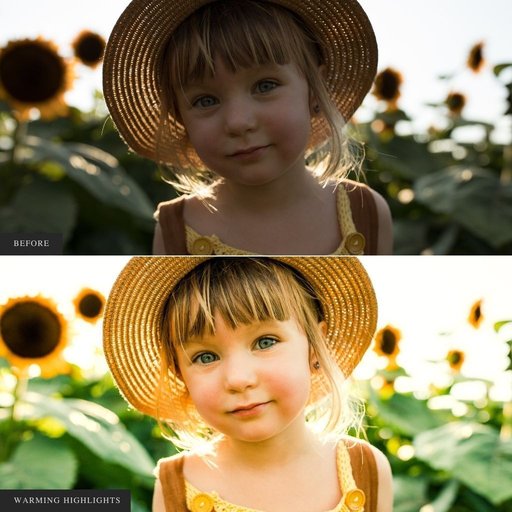 ColorMade Lightroom Preset Bundle (19 collections)