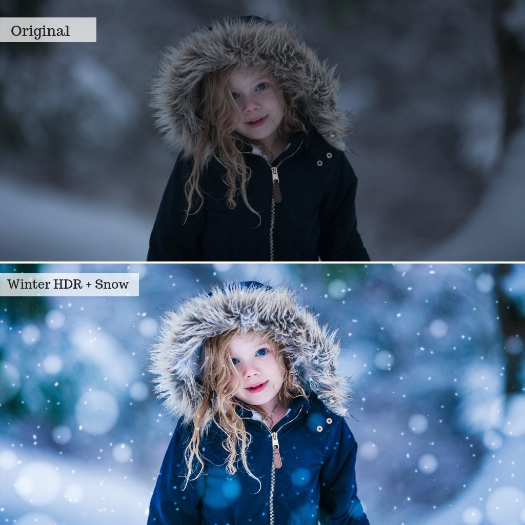 2025 Everything, Entire Store Lightroom Preset Bundle (108 Collections!)