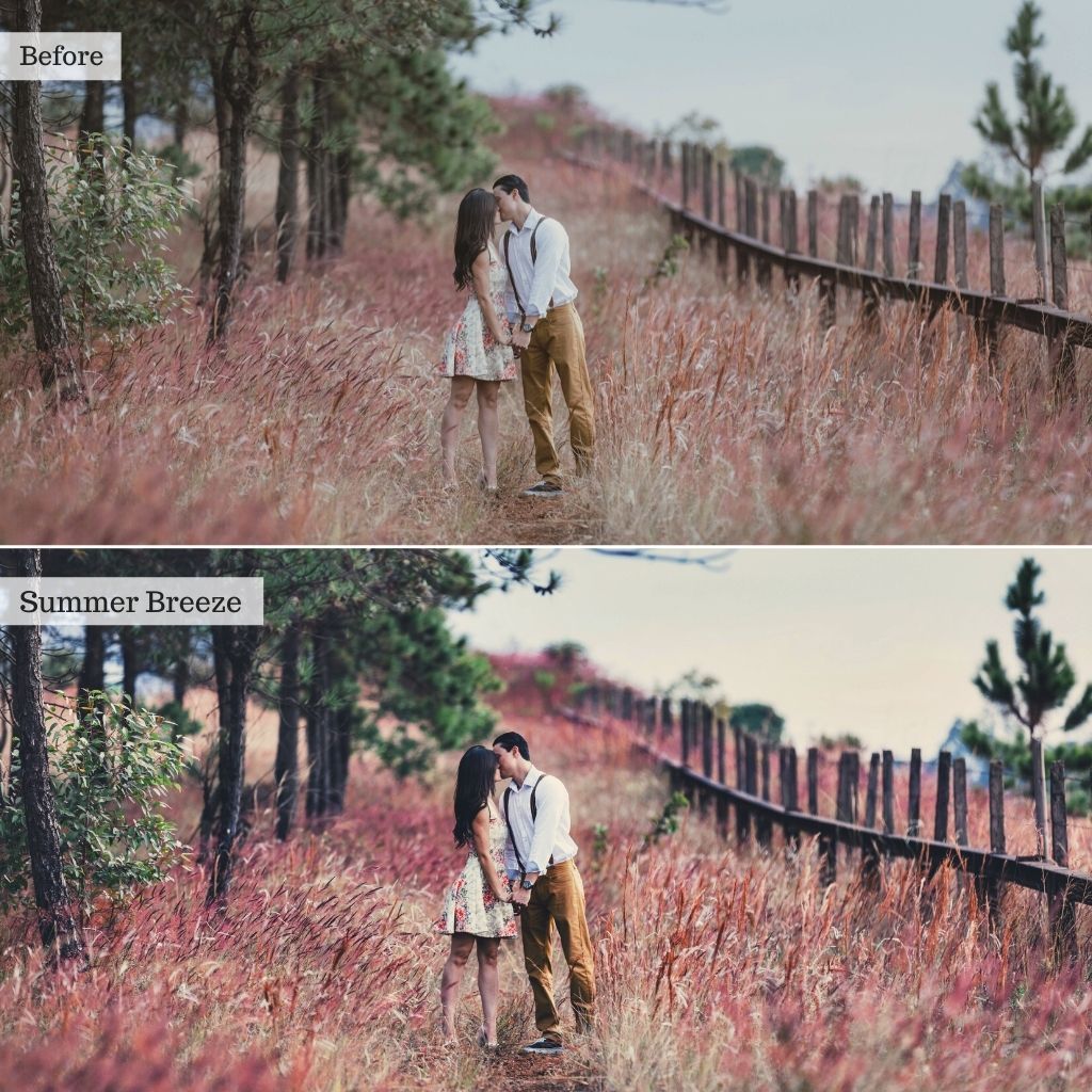 Luxe Essentials Photopea Actions & Editing Tools