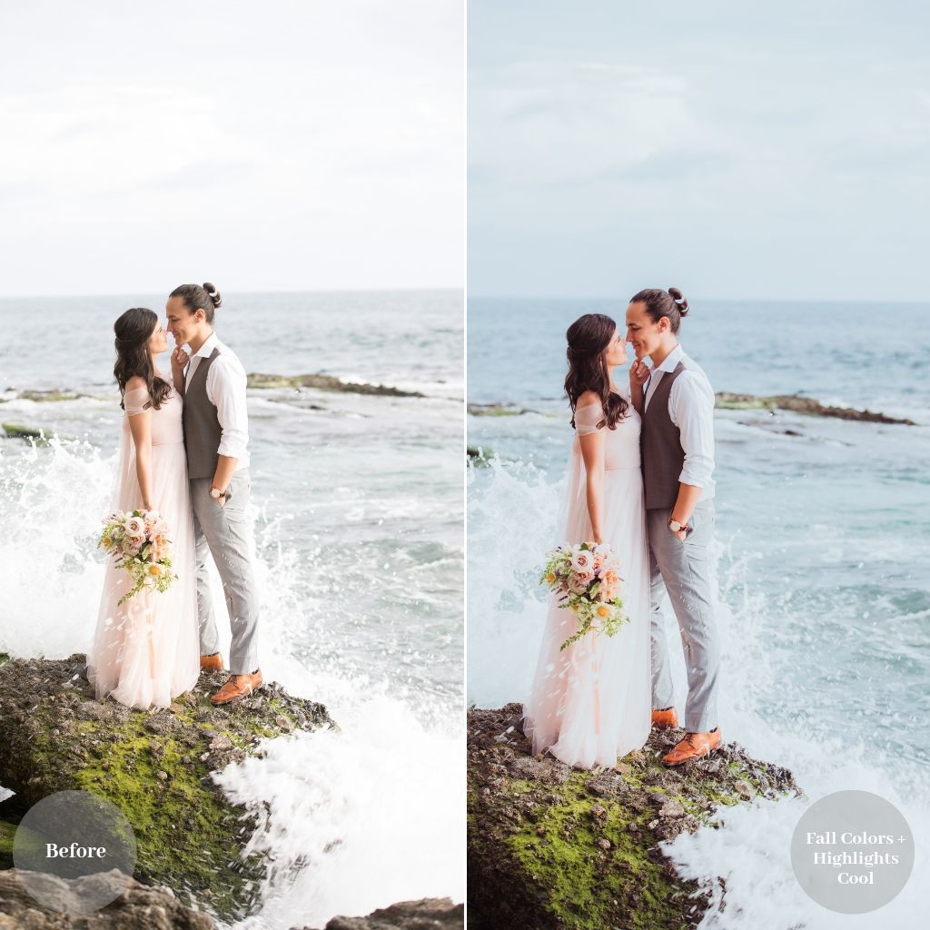 Portraits and Weddings Preset Bundle (19 collections) for Lightroom & Photoshop