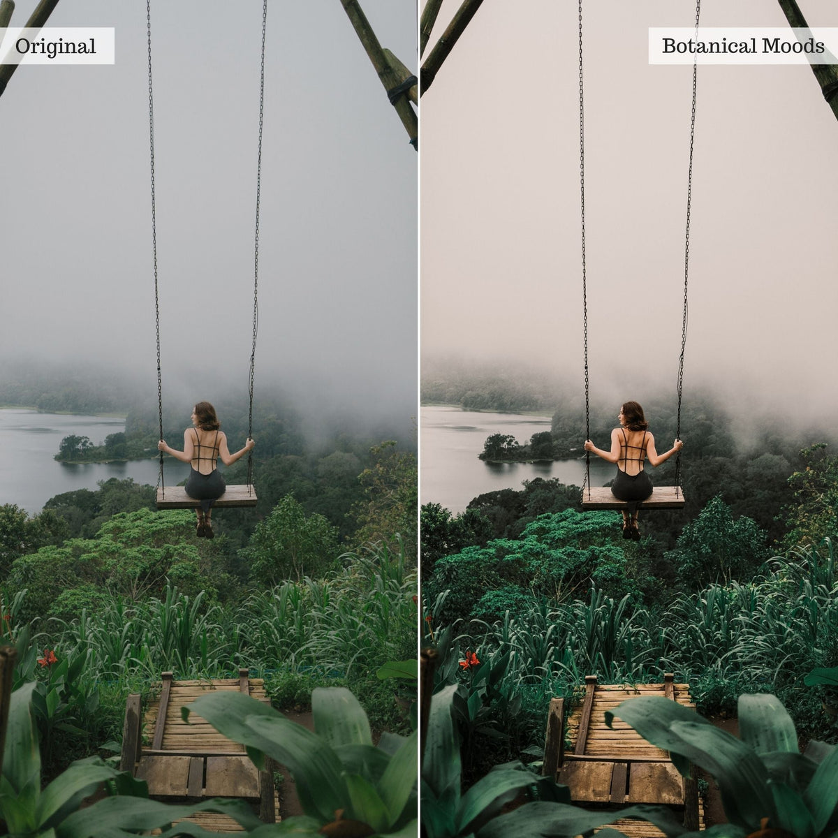 Botanical Moods Instagram Presets for Lightroom Mobile & Desktop