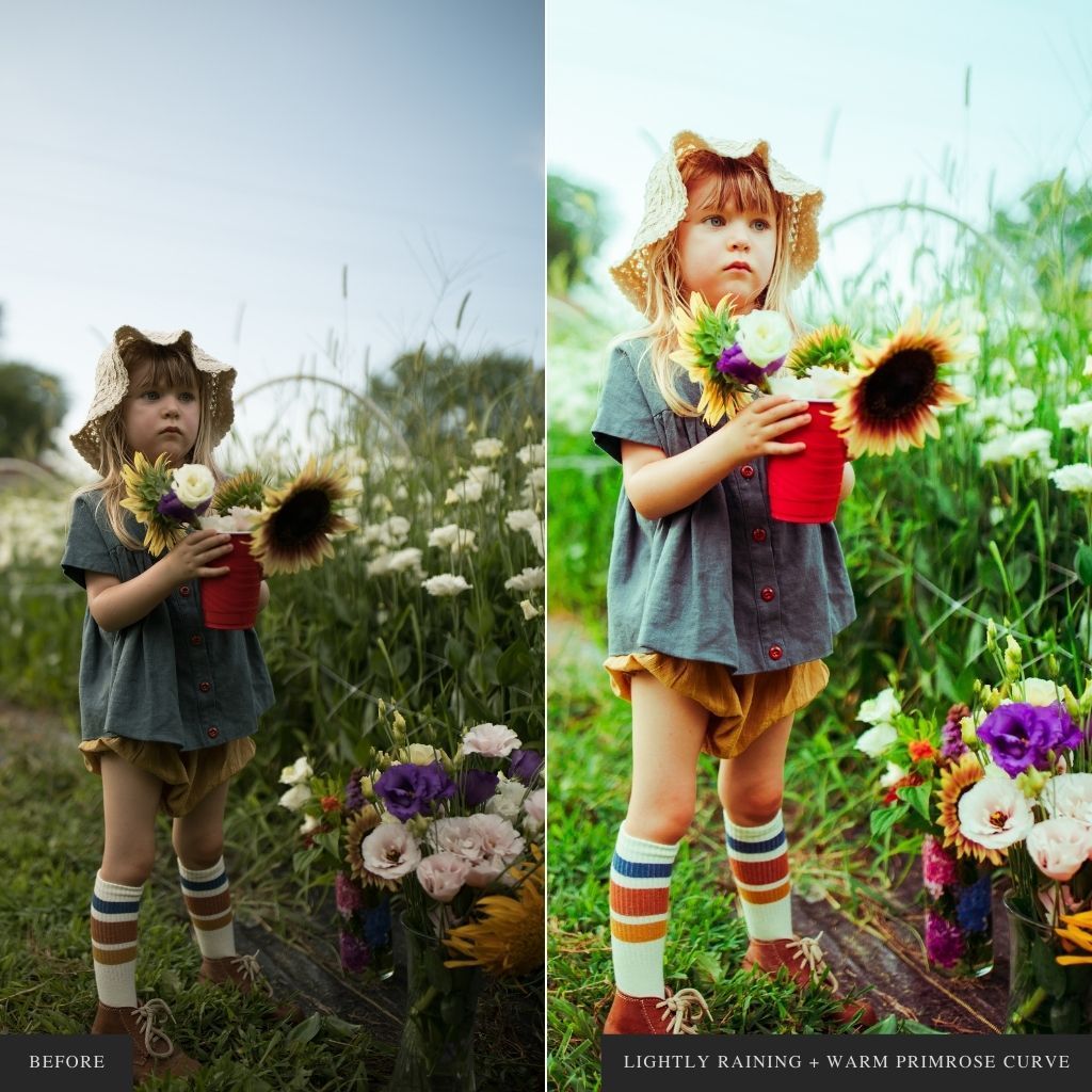 ColorMade Lightroom Preset Bundle (19 collections)