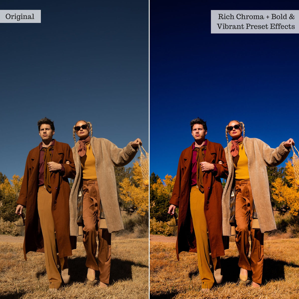 Bold & Vibrant 2.0 Lightroom Presets & AI Powered Tools – Desktop & Mobile