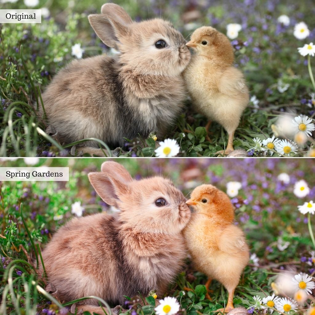 Spring Gardens Instagram Presets for Lightroom Mobile & Desktop