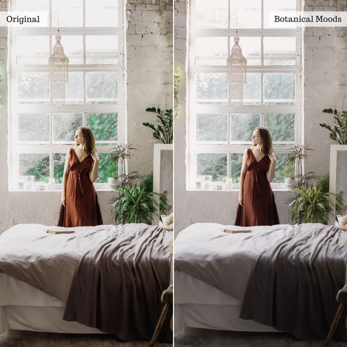 Botanical Moods Instagram Presets for Lightroom Mobile & Desktop