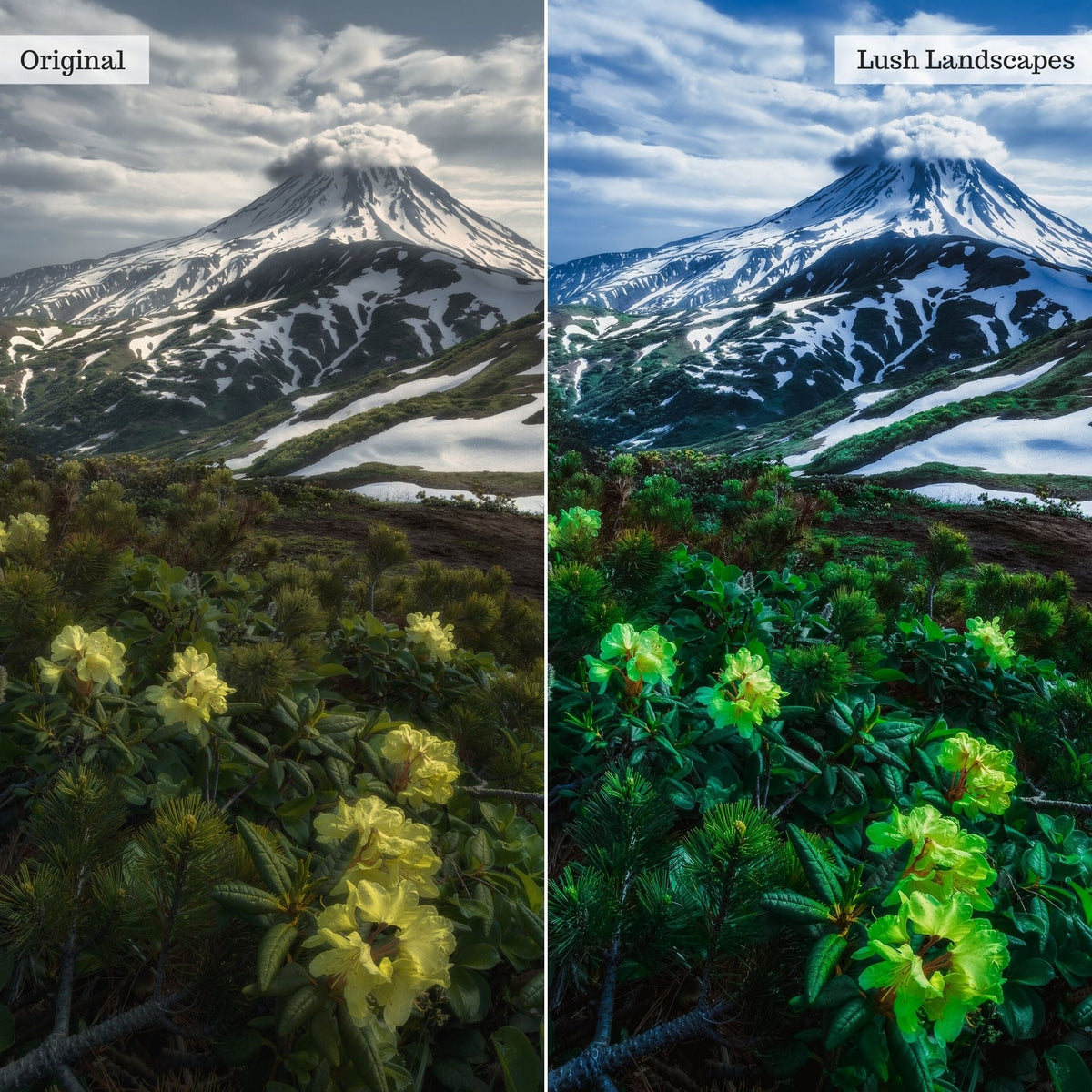 Lush Landscapes Instagram Presets for Lightroom Mobile & Desktop