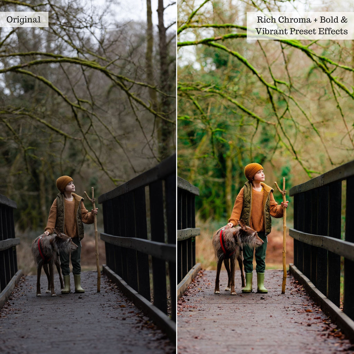 Bold & Vibrant 2.0 Lightroom Presets & AI Powered Tools – Desktop & Mobile