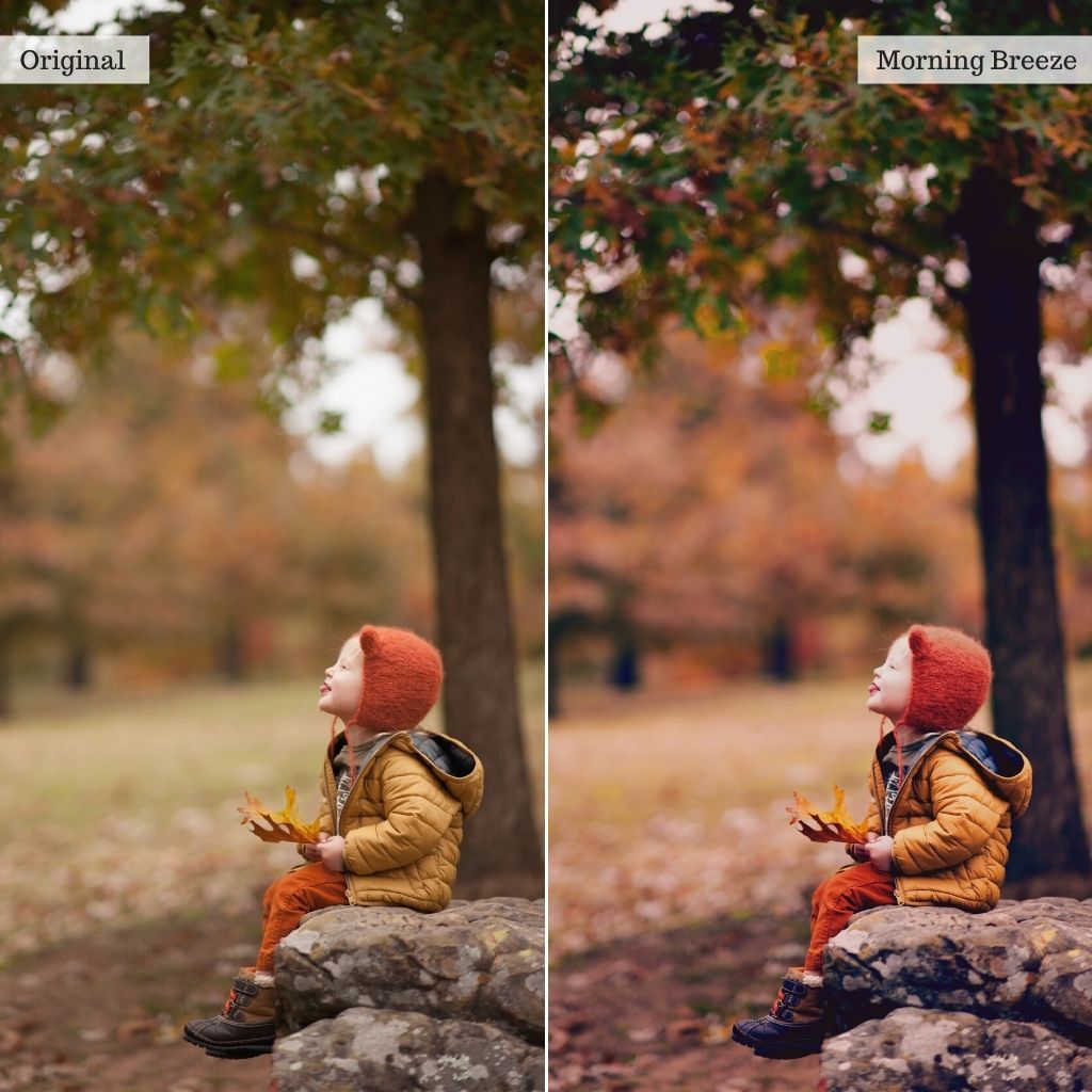 Luxe Essentials Photopea Actions & Editing Tools