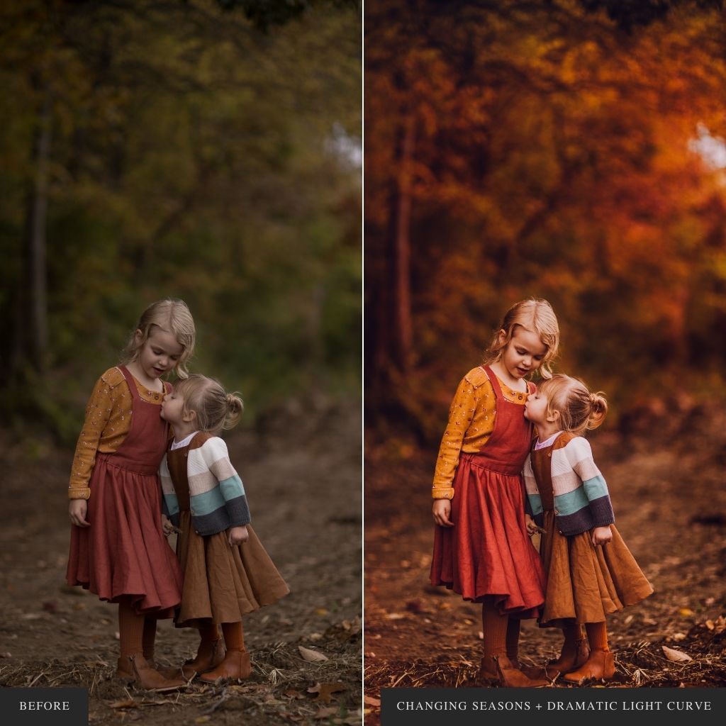 ColorMade Lightroom Preset Bundle (19 collections)