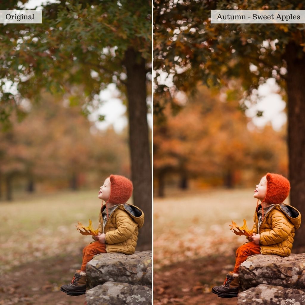 Essentials Lightroom Presets & AI Tools v2.0 – Desktop & Mobile