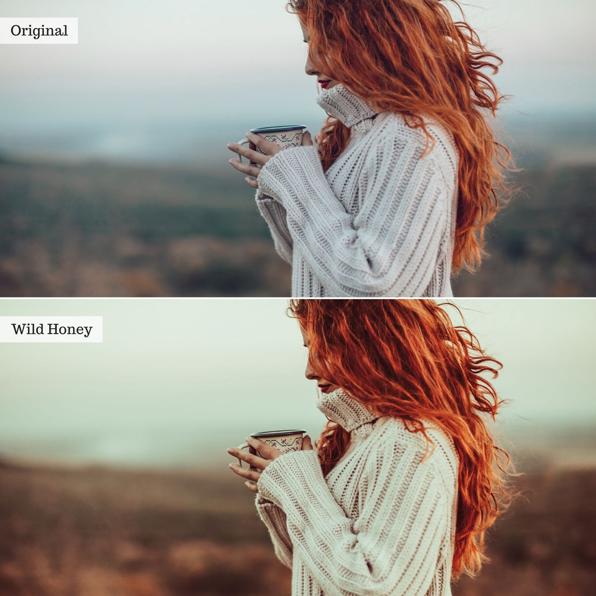 Wild Honey Instagram Presets for Lightroom Mobile & Desktop